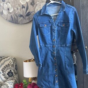 Source Unknown Blue Denim Button-Front Mini Dress